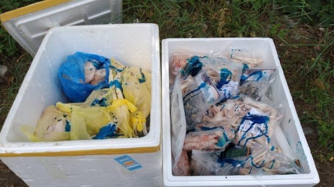 veterinární inspekce kontrola Dubí (2)