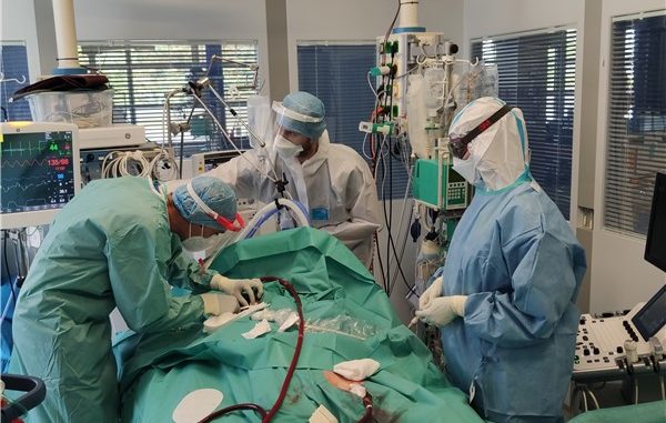 ecmo3
